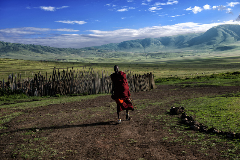 Winner of the international photographic competition